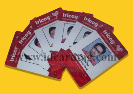 PVC-ID-Card-For-Companies-Corporate-Office-Bangalore